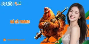 Đá Gà Thomo RR88: Trường Đấu Kê Kịch Tính Và Hấp Dẫn Số 1